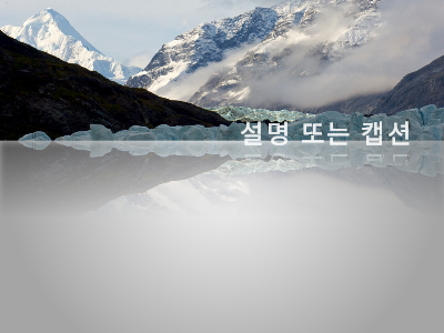 레이블|반사된 캡션이 있는 그림 레이블|반사된 캡션이 있는 그림